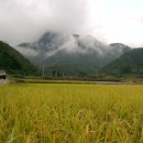 가마실마을 이미지