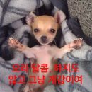 선데이민화 | September photo dump