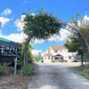 솔언덕펜션 이미지