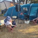 대전해수욕장2 이미지