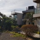 섶섬 아우룸 이미지