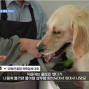 멍빨DAY 이미지