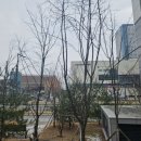 산울동_산울초중학교 이미지