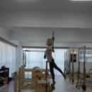 바디웰핏 | 웰핏 필라테스 바디프로필반후기!!