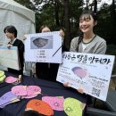 아리아리 이미지