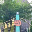 이리온애견펜션 이미지