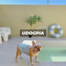 udogpia 유독피아 이미지
