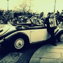 장미빛인생식당 이미지