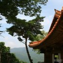 대교장 Daum카페