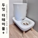 모두의 집사 | 자동급식기 장단점 두잇 더테이블 플러스 내돈내산 고양이집사의 실사용 후기