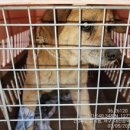 봉곡동042 이미지