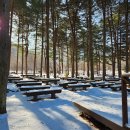 유명산자연휴양림 이미지