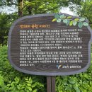 번데미공원 이미지
