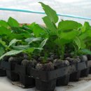 오수농장 이미지