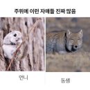 박서함 문빈이랑 느낌이 비슷해요....ㅋㅋㅋㅋㅋ 이미지