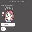 Siele 후기