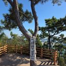 장자도 | 고군산도/장자도여행후기