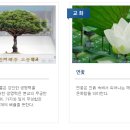 과학으로 만나는 영어교실 이미지