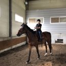 임자남초등학교 이미지