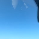 세븐피시 이미지