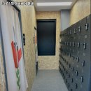 헤비베어 별내 | 갈매역 헬스장 추천 크로스핏 헤비베어 별내 / 월간 보험소식지