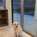 웨스트코스트트레이닝 이미지