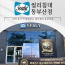 위니아서비스동부산 | 부산씰리 동부산점 말보다 ‘진짜 후기’로 증명된 &#39;진짜 매장&#39;