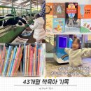 제일무궁화유치원 | 29)] 43개월 책육아 | 리리의 이야기 숲 한 달 후기, 망고라이언 방출, 사파리 맥밀런 | 육아 기록 (더...