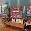 스케치 | 내돈내산 속초 설악스케치 솔직 후기｜키오스크 주문, 돈까스 맛과 아쉬웠던 점