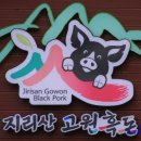 육백보물