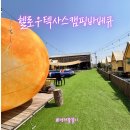 장보고싶은마트 | 광주 캠핑식당 헬로우텍사스캠핑바베큐 몸만 가는 도심 속 글램핑 후기