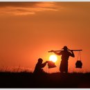 해를 담다 이미지