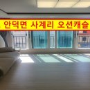 서귀포하나로공인중개사사무소 이미지