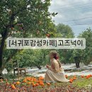 고즈넉이 | 서귀포감성카페 토토로 지브리감성 고즈넉이