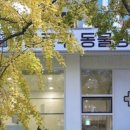 헬로우 동물병원 이미지