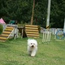 마린독스 이미지