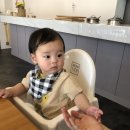 와니카레 이미지