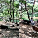 용현자연휴양림 이미지