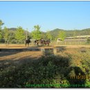 송암목장 이미지