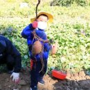 사계절 농장 이미지