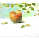 김찬우농장 이미지