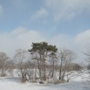 낭만누리 관광안내소 | 여행 시 꼭 가봐야할 "오누마 국정 공원" (feat.가는법, 관광안내소,산책 코스, 빙어 낚시 꿀팁, 가격)