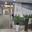 맨하탄치과의원 이미지