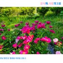 작약정원