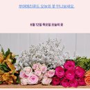 카페부여루