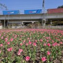 낙동강관리본부 화명생태공원 3 이미지