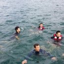 주짓수 쎈짐 이미지