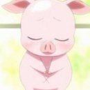 민영이네 이미지