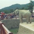 금강공원 이미지