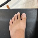 비바이에이치